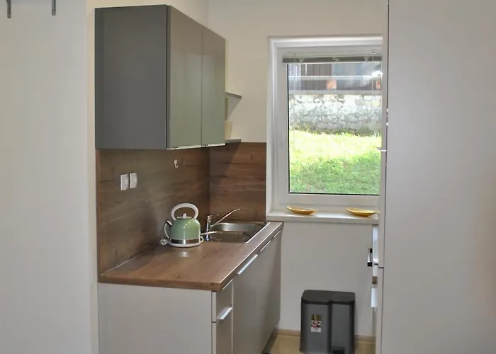 アパート Prenocisca Dany Apartma 1 Dravograd