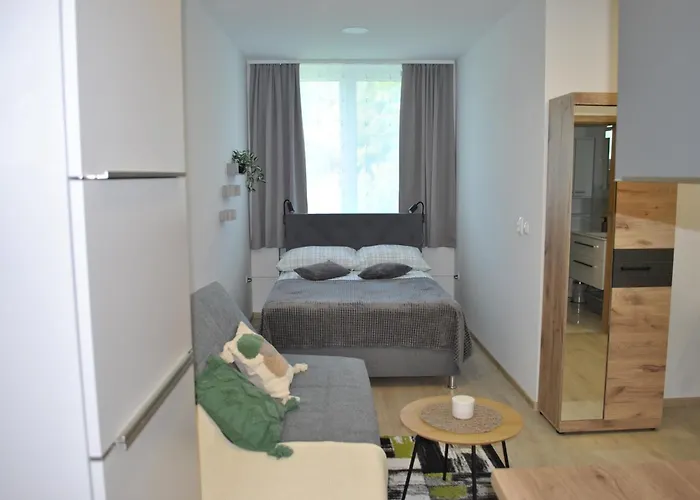 アパート Prenocisca Dany Apartma 1